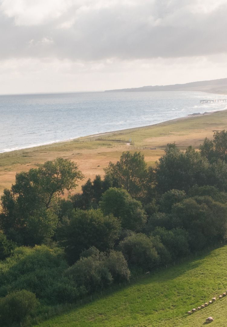Wohnmobilstellplatz am Deich